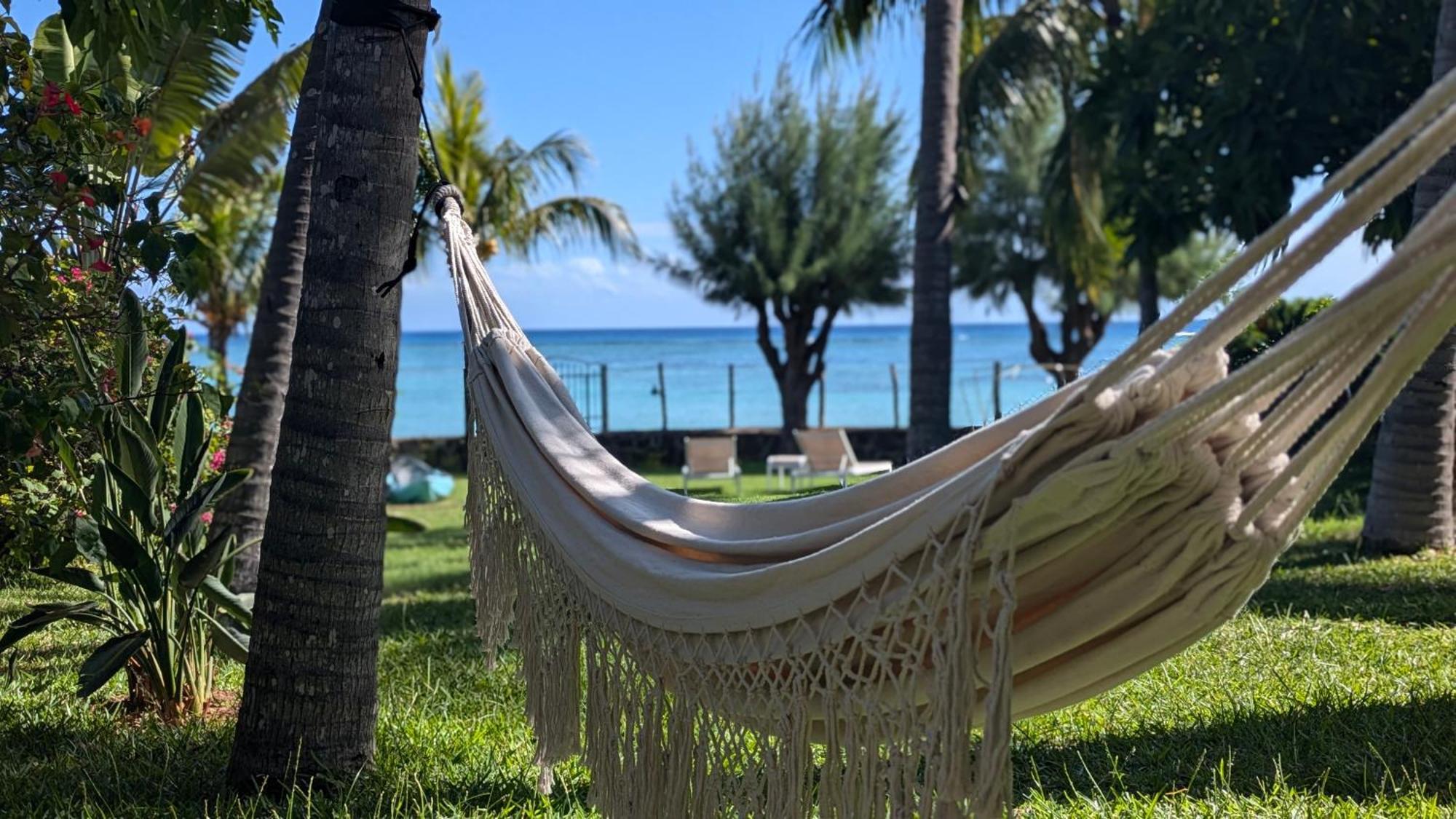 La Maison De La Plage - Guest House Albion Εξωτερικό φωτογραφία